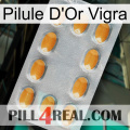 Vigra Gold Pill cialis3